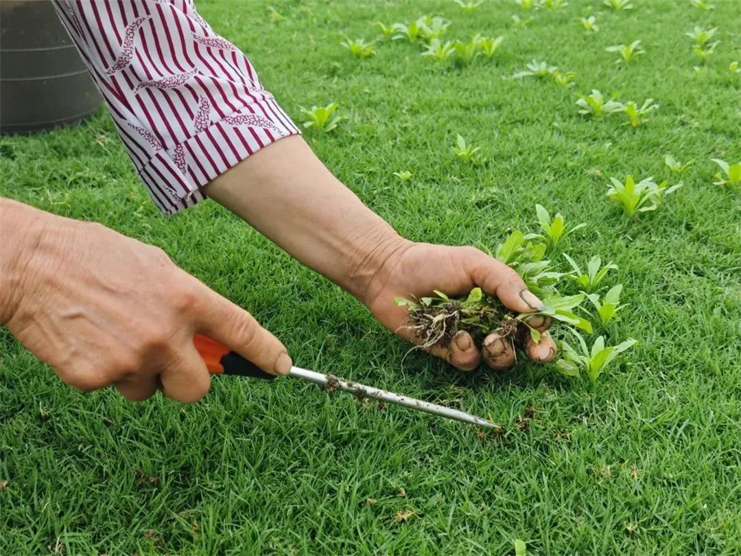 萬豪集團(tuán)匠心助力，6月齊聚重慶龍興足球場為國足吶喊助威！